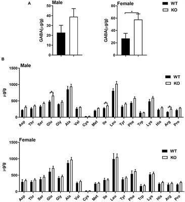 Transcriptomic Analysis Reveals a Sex-Dimorphic Influence of GAT-2 on Murine Liver Function